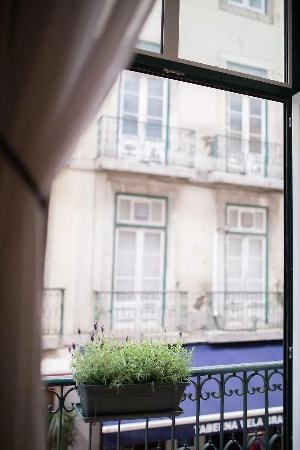 Classic Lisbon Downtown Apartment Portugal